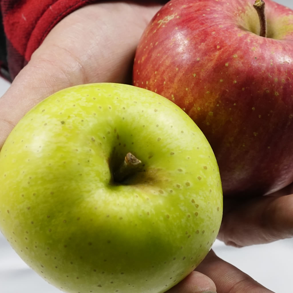 仙台の宅配サービス トドケル仙台｜美味しさにこだわった地場野菜宅配サービス